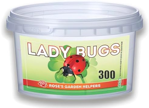 300 Live Ladybugs (Hippodamia convergens) | Natural Pest Control