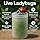 300 Live Ladybugs (Hippodamia convergens) | Natural Pest Control