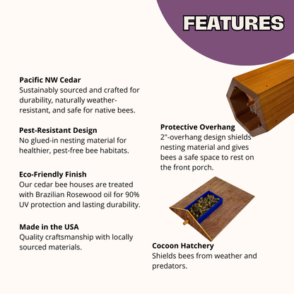 Cabana Bee House & Complete Kit with Bee Certificate