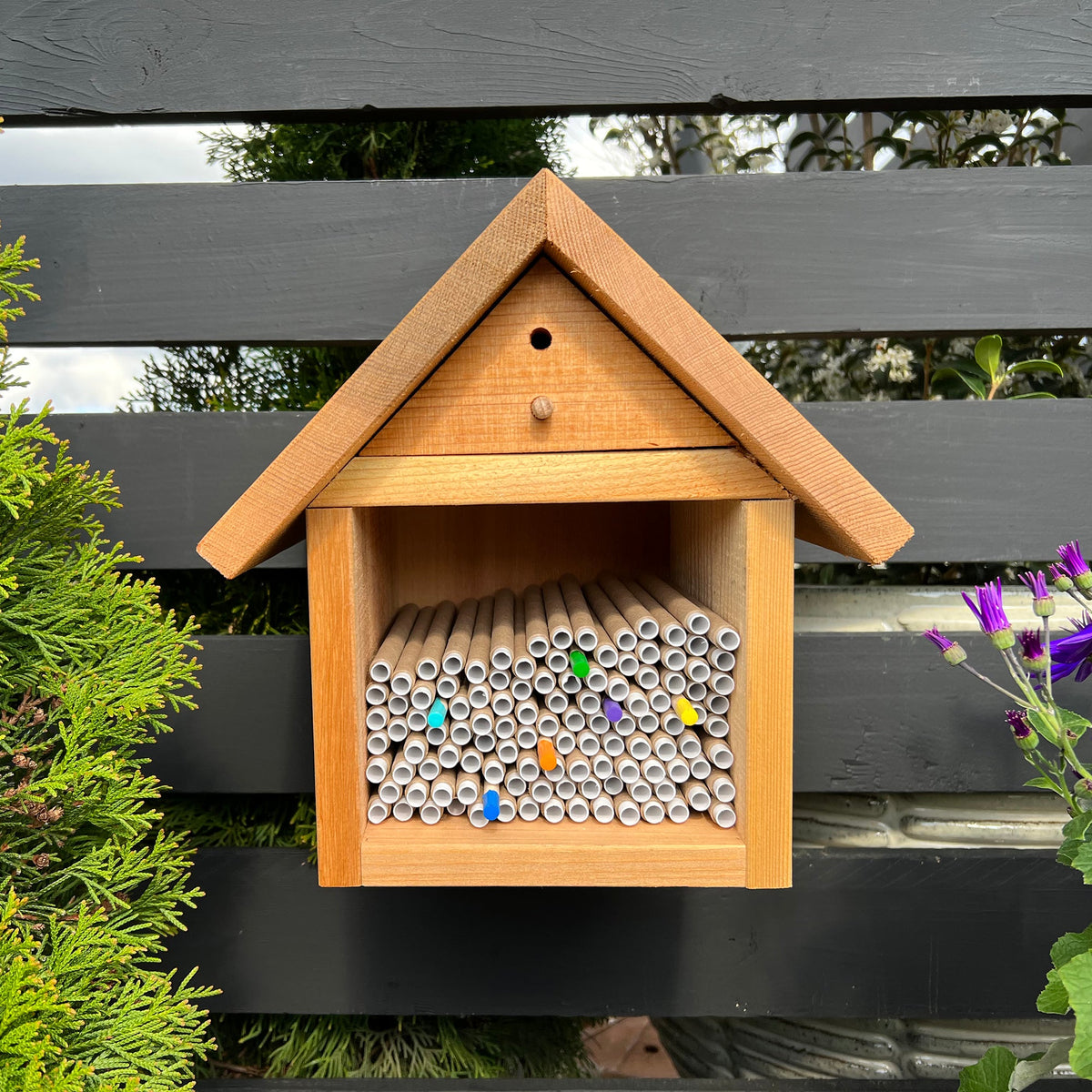 Spring Inserts for Mason Bees - 8mm