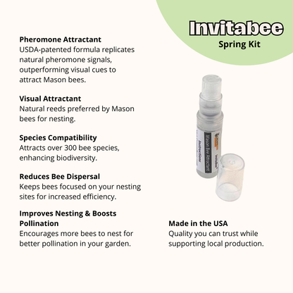 Cabana Bee House & Complete Kit with Bee Certificate