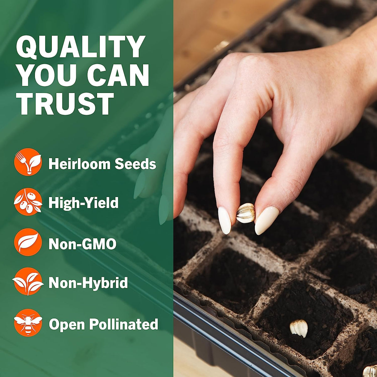 15,000 Heirloom Seeds Non GMO Vegetable and Fruit Seeds for Planting Outdoor & Indoor - 32 Variety Pack of Survival Garden Seeds